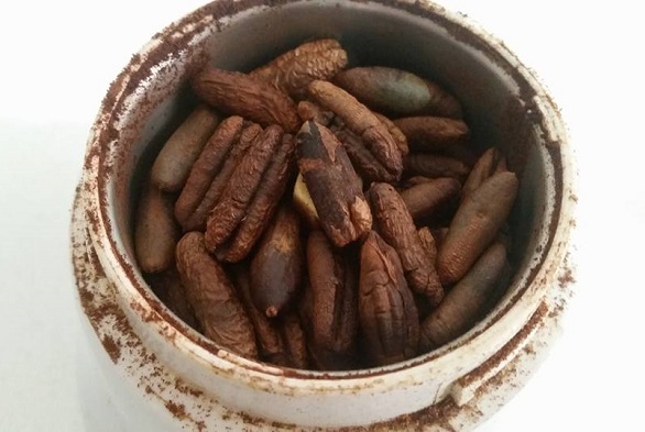 شرکت فرآورده های هسته خرما + صادرات